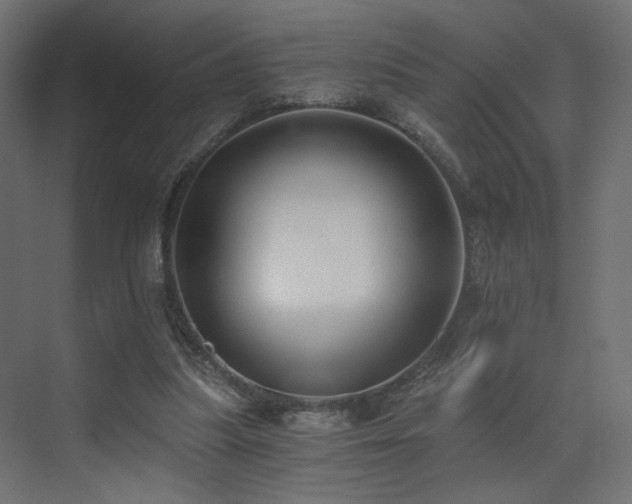 X0000072960251200607211205