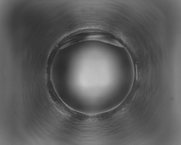 X0000072960252200607211205