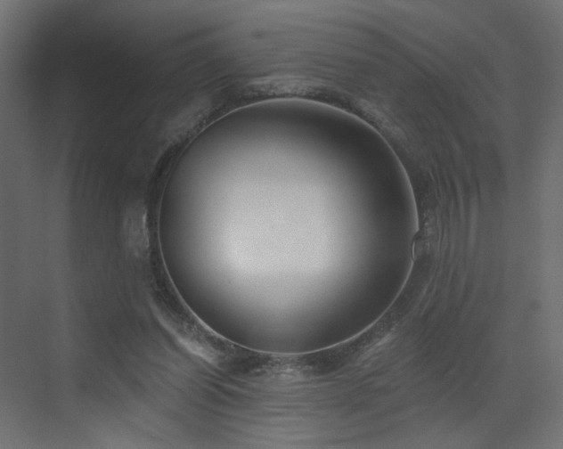 X0000072960254200607211205