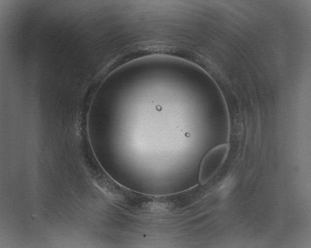 X0000072960255200607211205