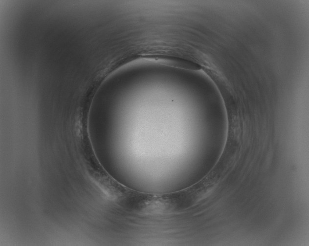 X0000072960259200607211205