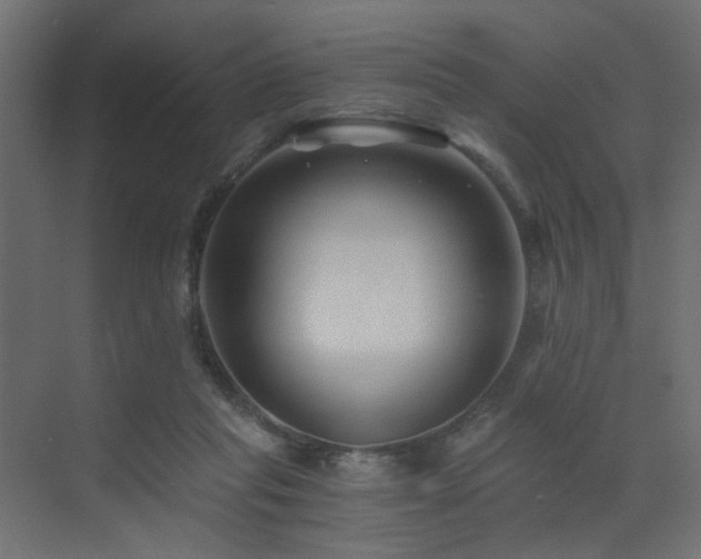 X0000072960261200607211205