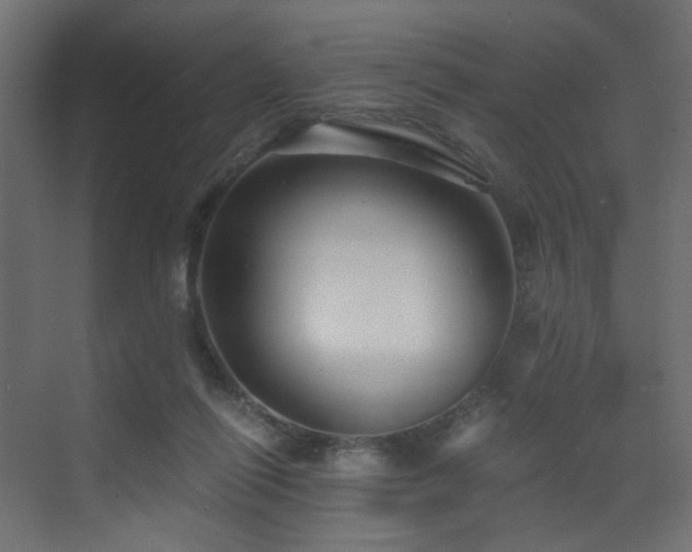 X0000072960262200607211205