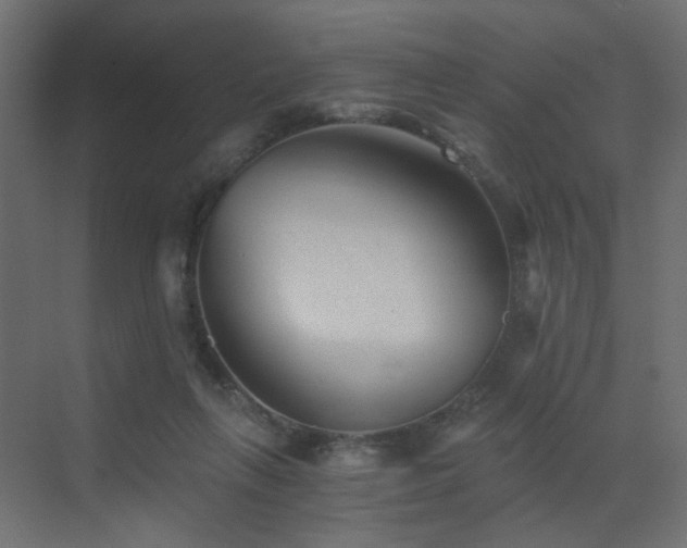 X0000072960263200607211205