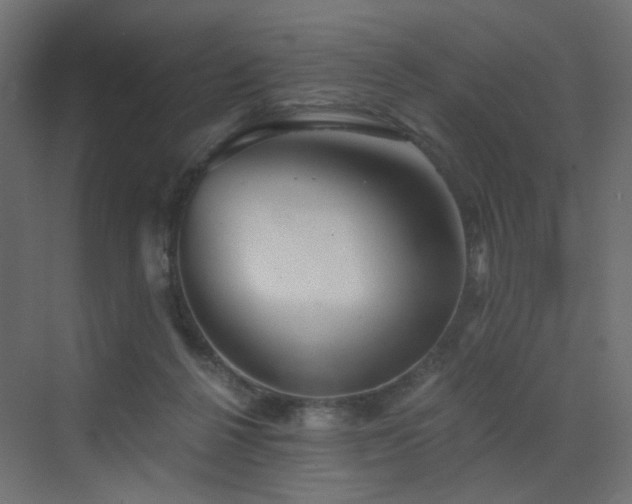 X0000072960264200607211205