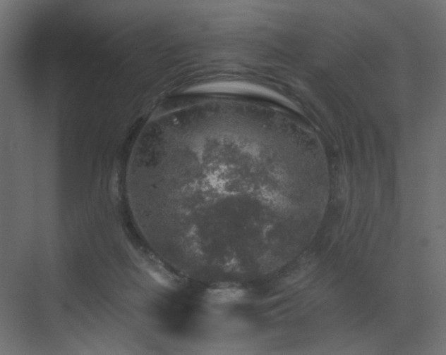 X0000072960266200607211205