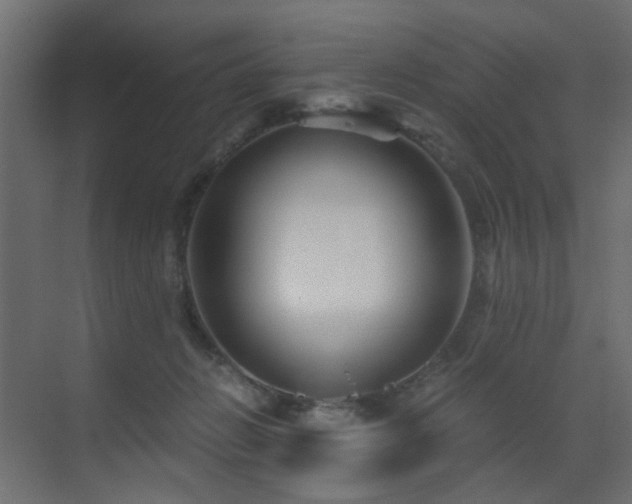 X0000072960270200607211205