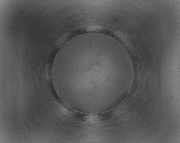 X0000072960273200607211205