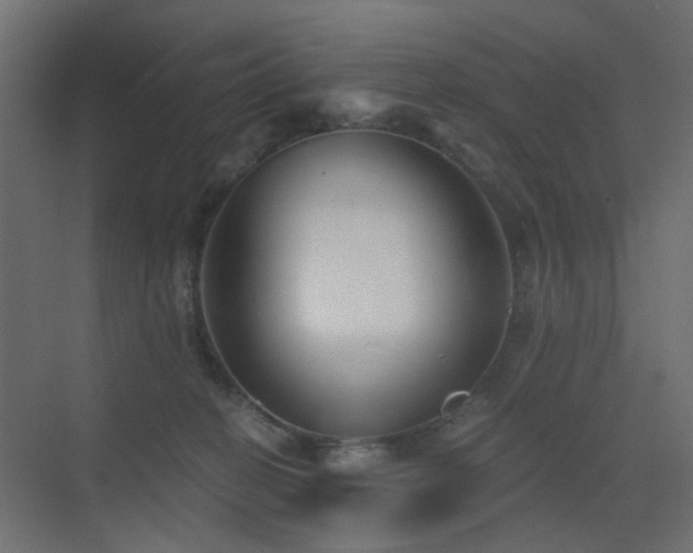 X0000072960274200607211205