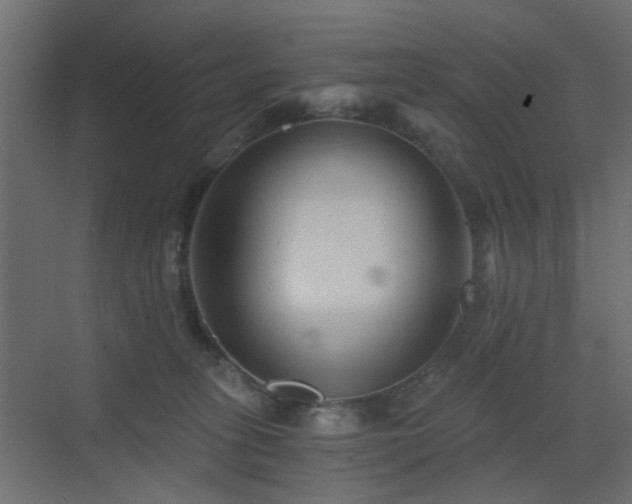 X0000072960275200607211205