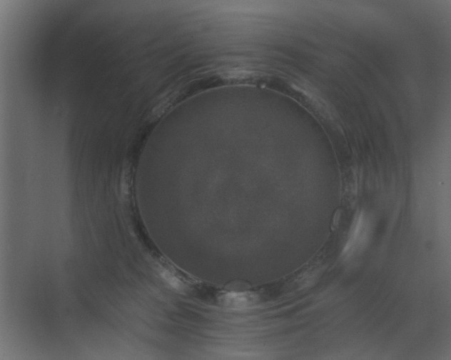 X0000072960277200607211205