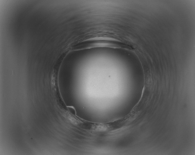 X0000072960282200607211205