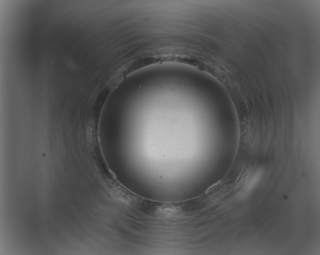 X0000072960283200607211205