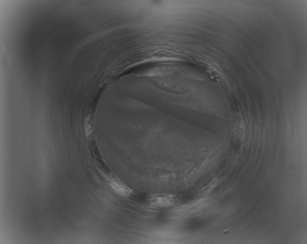 X0000072960285200607211205