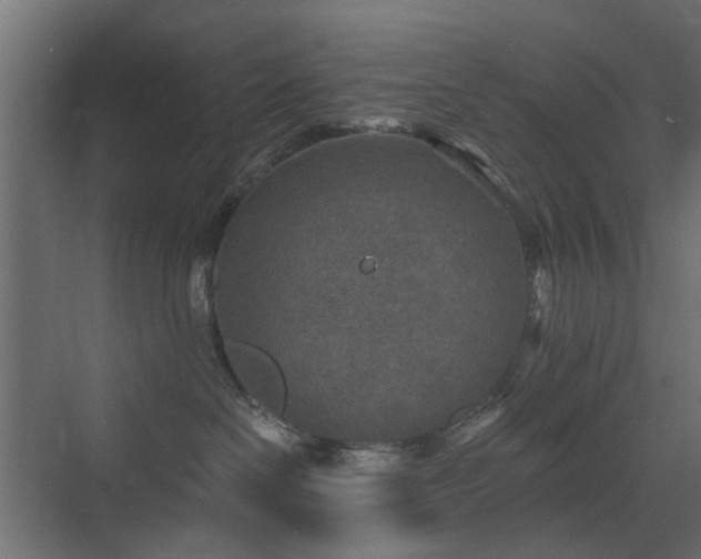 X0000072960286200607211205