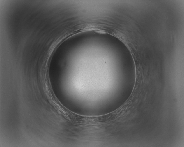 X0000072960289200607211204