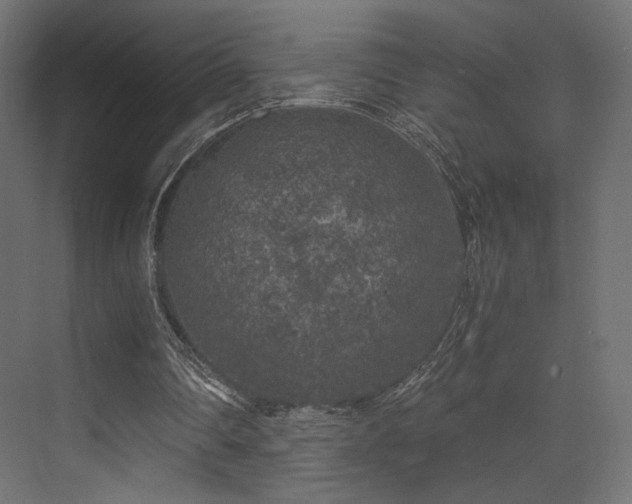 X0000072960290200607211204