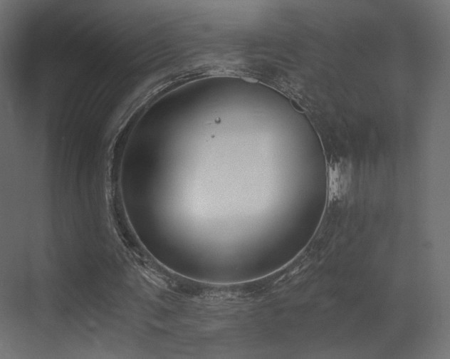 X0000072960291200607211204