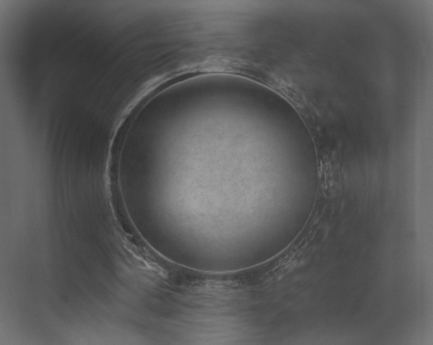 X0000072960292200607211204