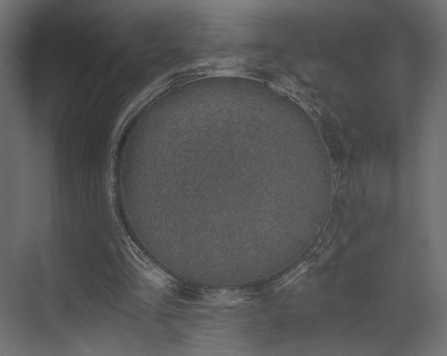 X0000072960293200607211204