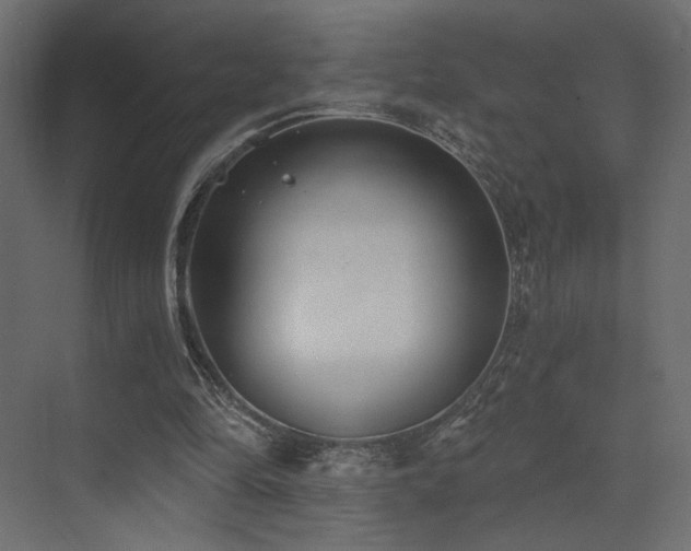 X0000072960294200607211204