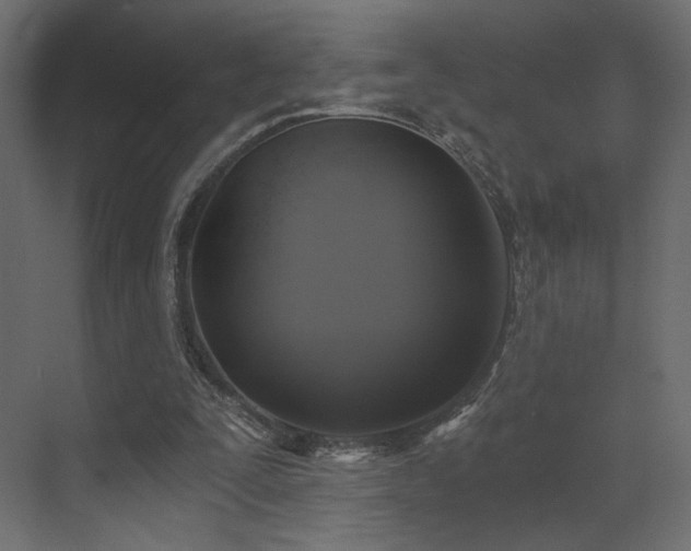 X0000072960295200607211204