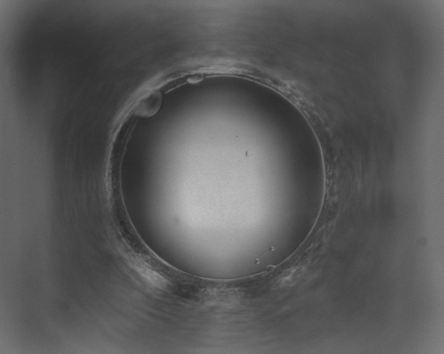 X0000072960296200607211204