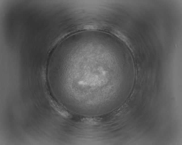 X0000072960297200607211204