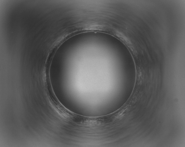 X0000072960298200607211204