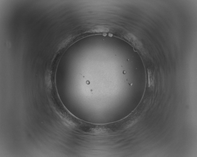 X0000072960300200607211204