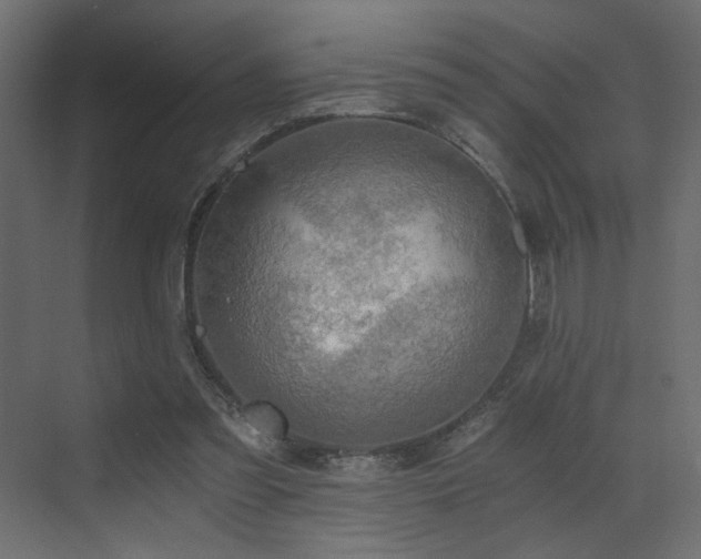 X0000072960301200607211204