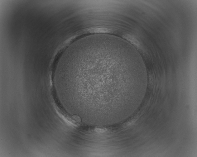 X0000072960302200607211204