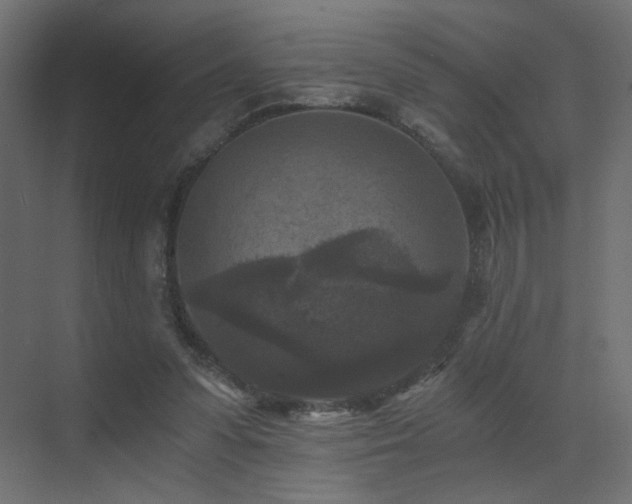 X0000072960303200607211204