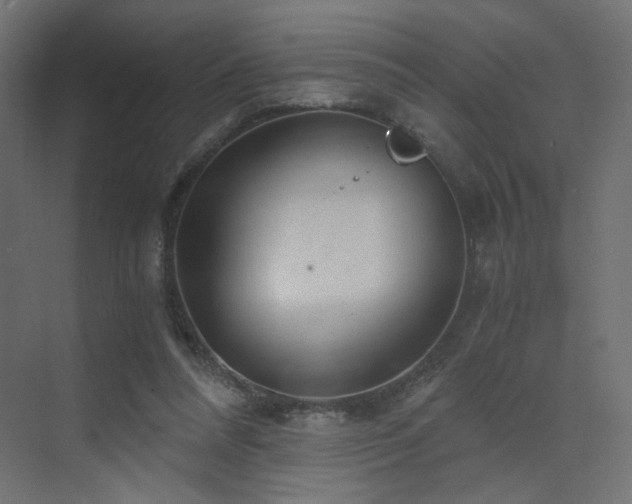 X0000072960304200607211204