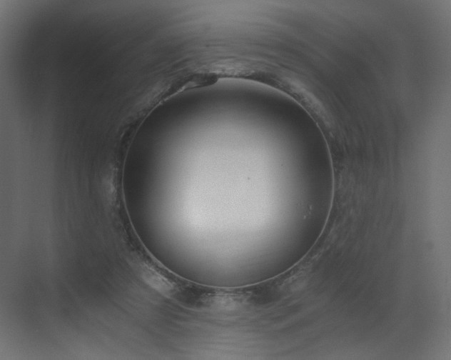 X0000072960305200607211204