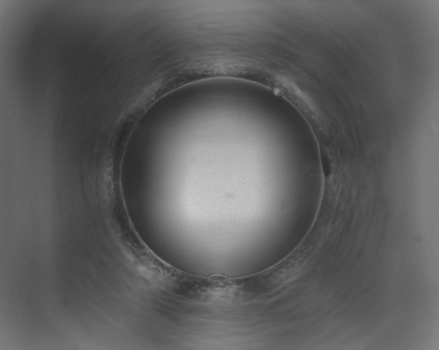 X0000072960306200607211204