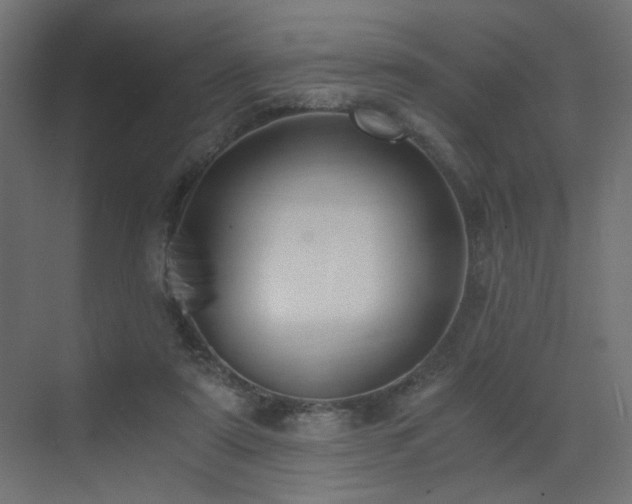 X0000072960307200607211204