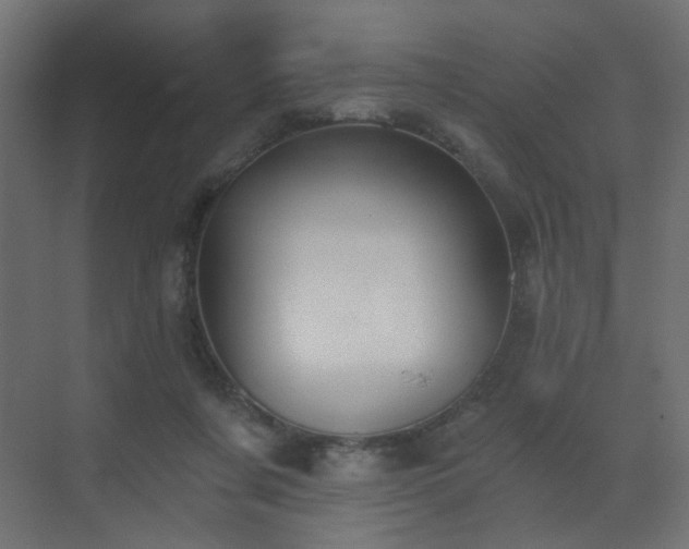 X0000072960311200607211204