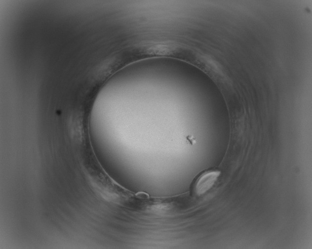 X0000072960312200607211204