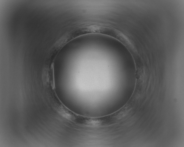 X0000072960313200607211204