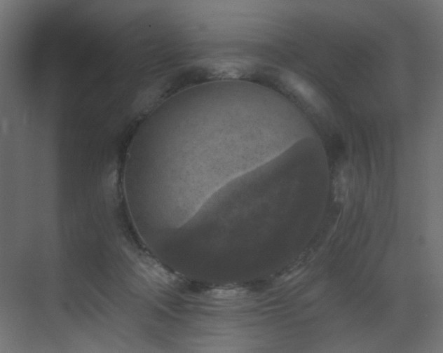 X0000072960314200607211204