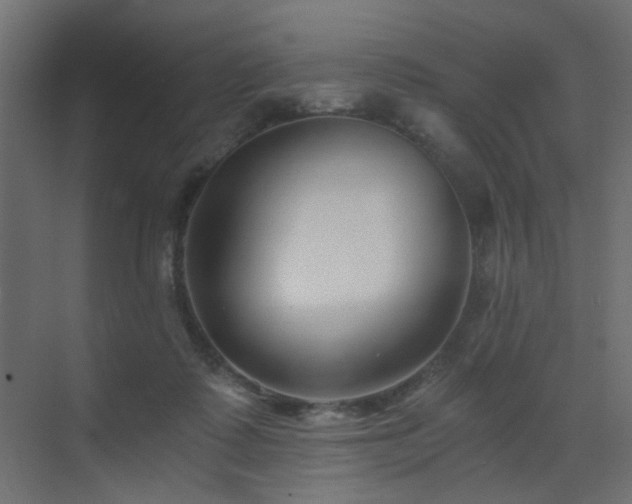 X0000072960315200607211204