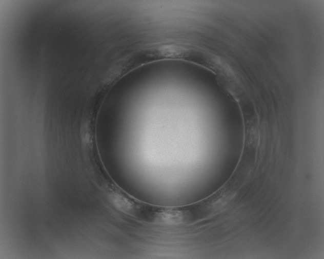 X0000072960317200607211204