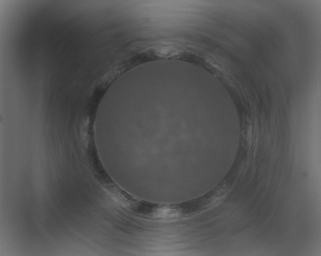 X0000072960319200607211204