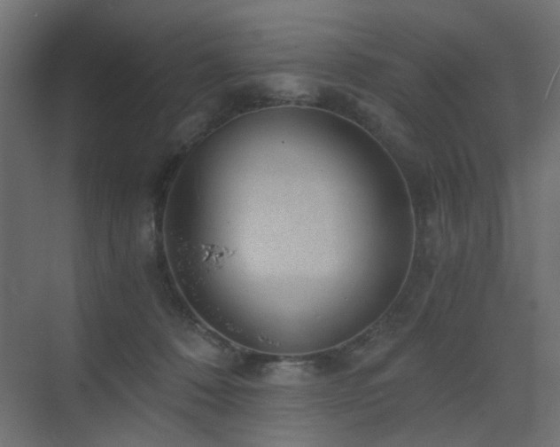 X0000072960320200607211204