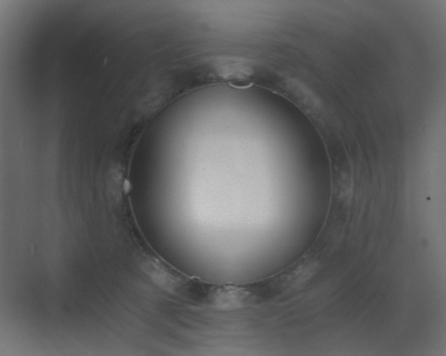 X0000072960321200607211204