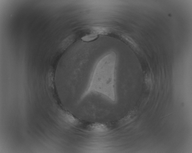 X0000072960322200607211204