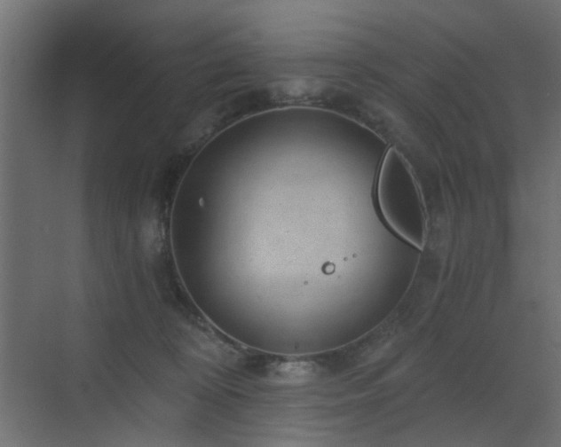 X0000072960324200607211204