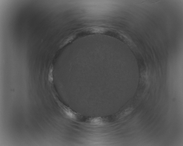 X0000072960325200607211204