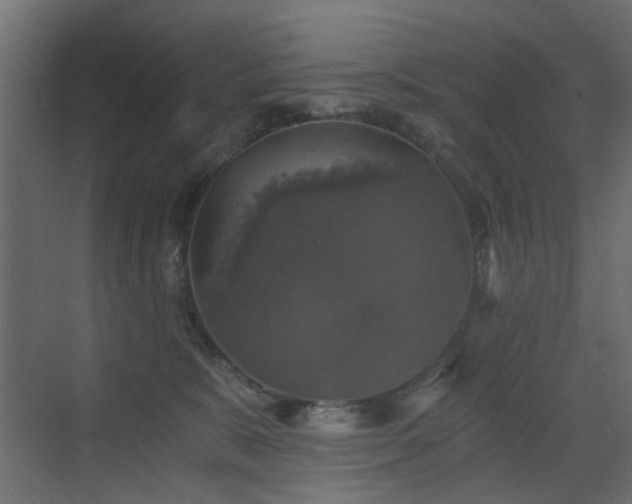 X0000072960327200607211204